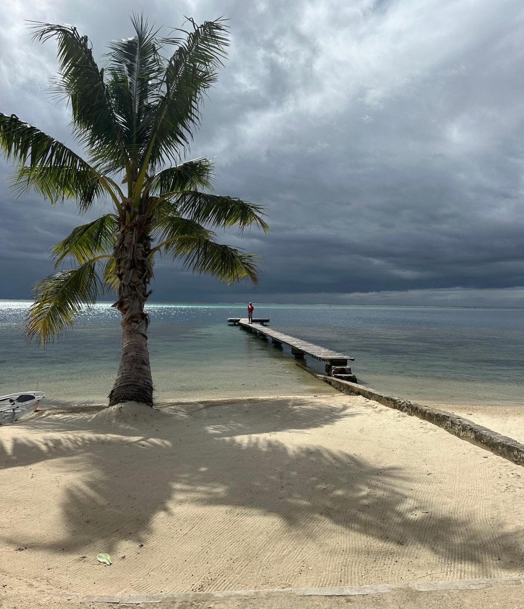 Villa Chez Jay Moorea Beach House Maharepa  Exterior foto